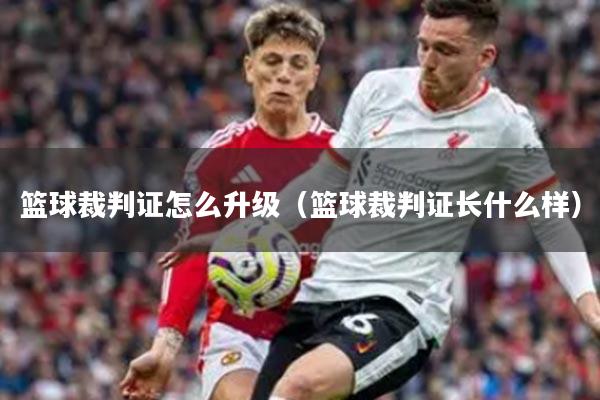 篮球裁判证怎么升级（篮球裁判证长什么样）